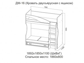 ДМ-16 Кровать двухъярусная с ящиком в Аше - asha.магазин96.com | фото