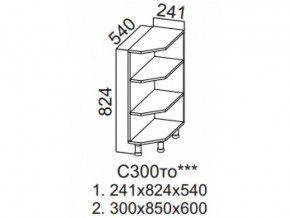 С300то Стол-рабочий 300 (торцевой открытый) в Аше - asha.магазин96.com | фото