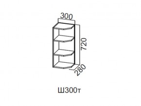 Ш300т/720 Шкаф навесной 300/720 (торцевой) в Аше - asha.магазин96.com | фото