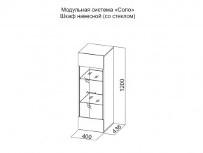 Шкаф навесной (со стеклом) в Аше - asha.магазин96.com | фото