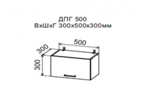Шкаф верхний ДПГ500 горизонтальный в Аше - asha.магазин96.com | фото