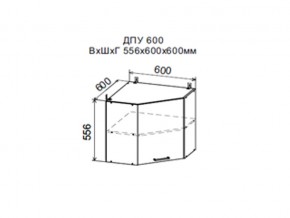 Шкаф верхний ДПУ600 угловой в Аше - asha.магазин96.com | фото